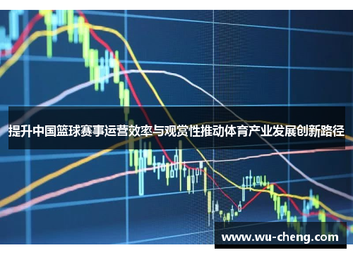 提升中国篮球赛事运营效率与观赏性推动体育产业发展创新路径